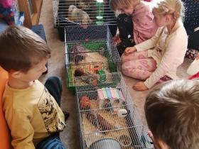 IMG_20241122_121123