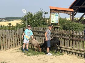 IMG-0820