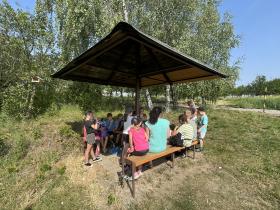 IMG-0811