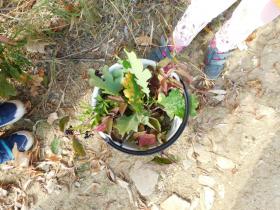 DSCN0825.JPG
