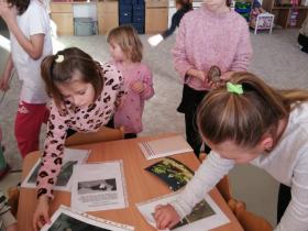 IMG_20241122_095438