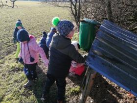 IMG_20250203_103007