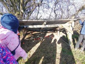 IMG_20250203_103137
