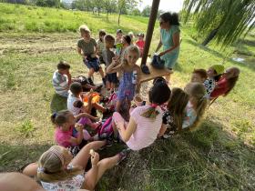 IMG-0810