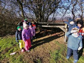 IMG_20250203_103119