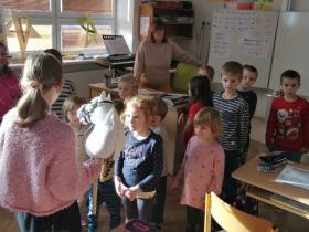 IMG_20241122_101247