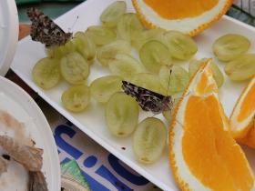 IMG_20230511_145936